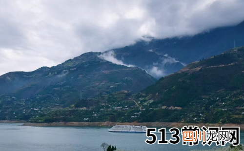 2019年运势最佳的生肖女