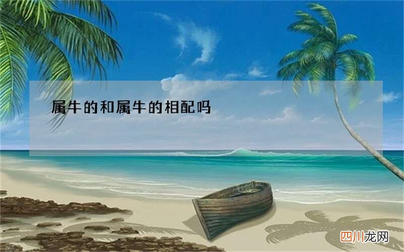 属牛的和属牛的相配吗
