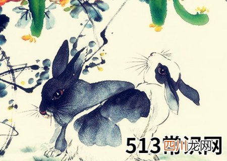 属兔的桃花运在几月份