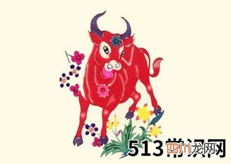 属牛的桃花运在几月份