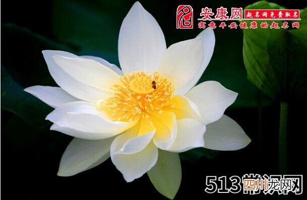 梦见脚踩屎