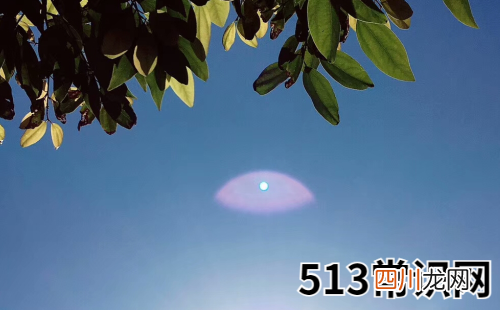 2019年健康运最好的三大生肖女