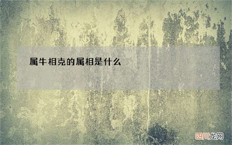 属牛相克的属相是什么