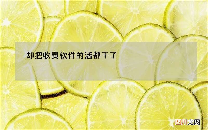 却把收费软件的活都干了