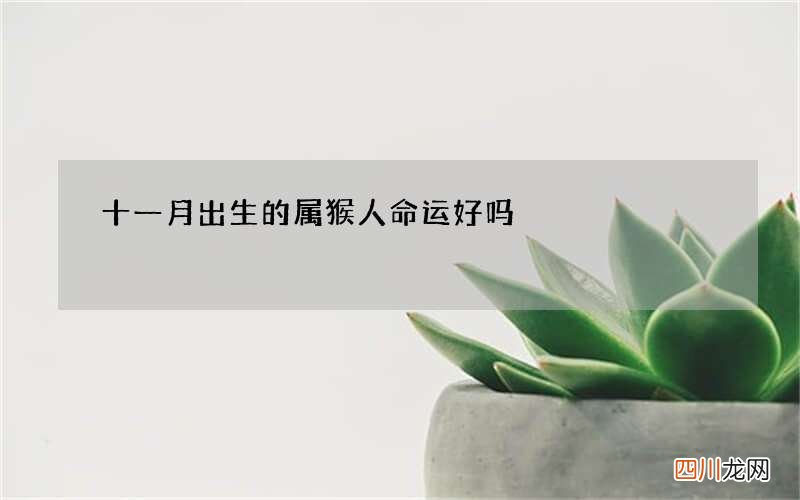 十一月出生的属猴人命运好吗