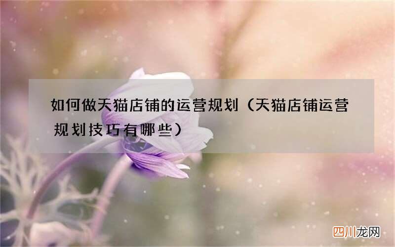 天猫店铺运营规划技巧有哪些 如何做天猫店铺的运营规划