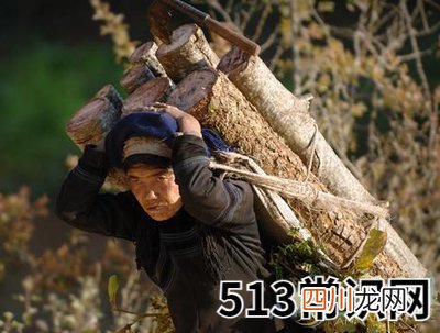 切记-梦见搬运木材并非一定是“有财“的征兆