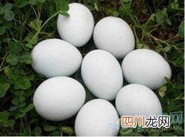 梦见捡鸭蛋是什么意思？注重心情变化