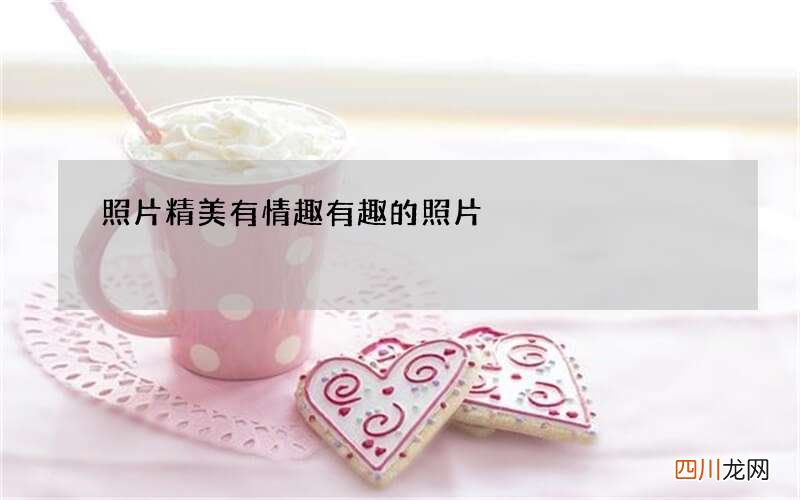 照片精美有情趣 有趣的照片
