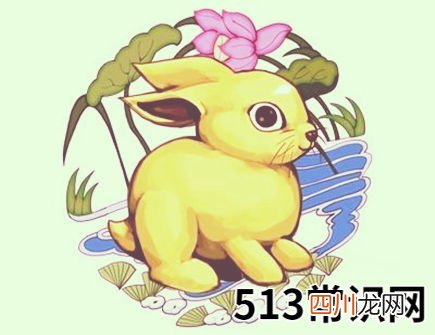 属兔人2021年健康运如何