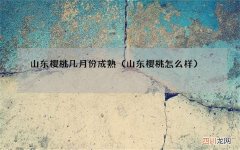 山东樱桃怎么样 山东樱桃几月份成熟