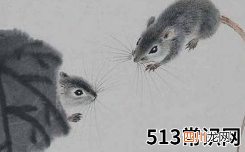 男命属鼠的人2019年每月运势