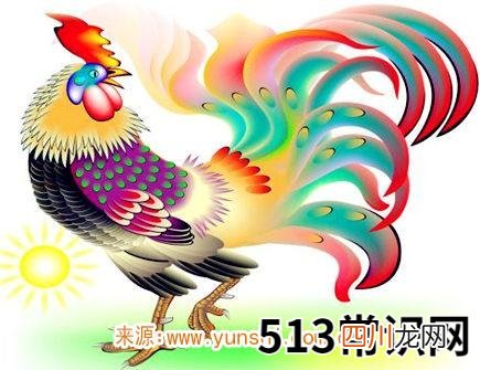 属鸡纹身纹什么旺财