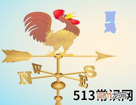 生肖属鸡的人长相如何