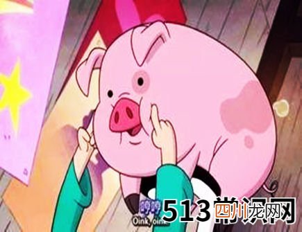 属猪人一生有哪些灾难