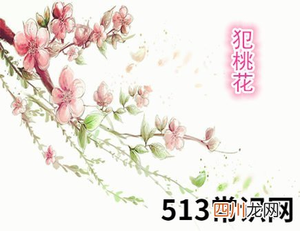 容易犯桃花的生肖