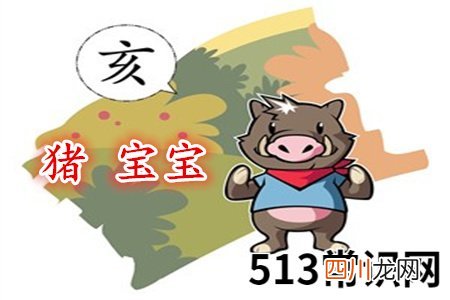属猪寓意好的男孩乳名