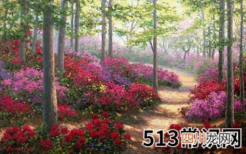 女命属鼠的人2019年开运指南