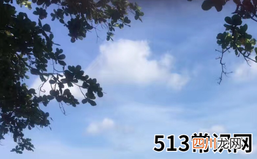 属鼠水瓶座2019年运势