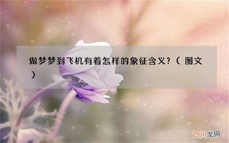 做梦梦到飞机有着怎样的象征含义？