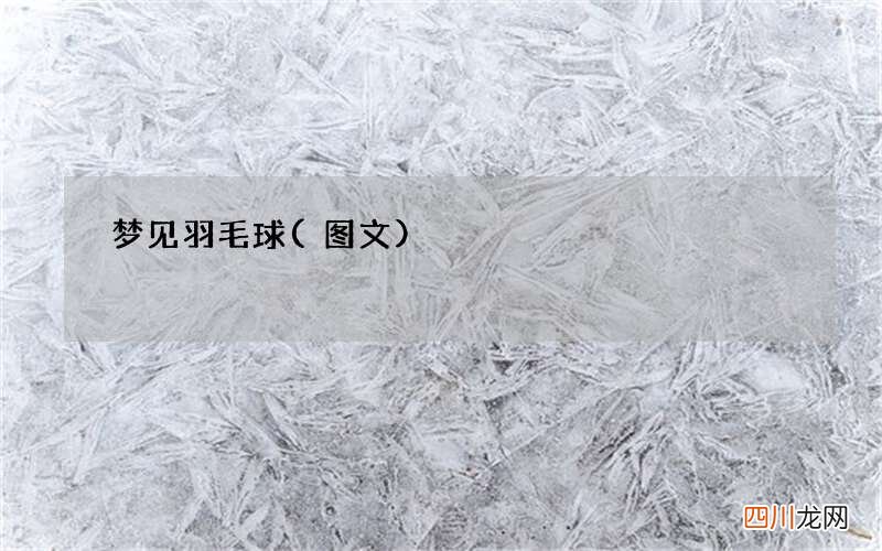 梦见羽毛球