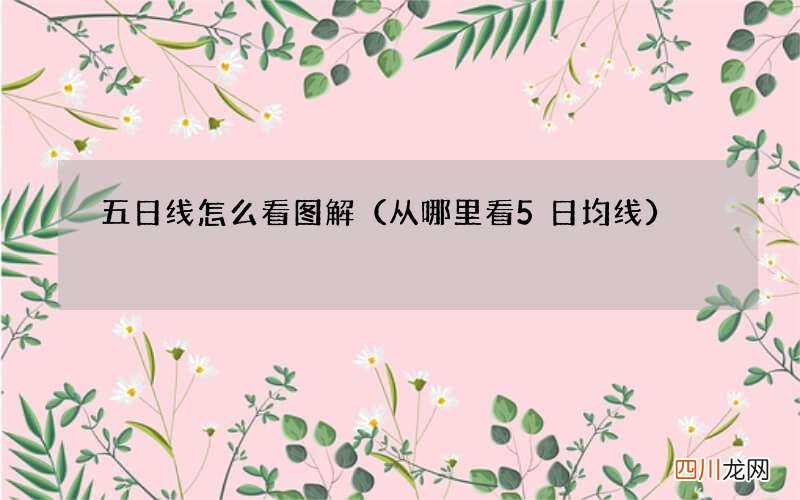 从哪里看5日均线 五日线怎么看图解