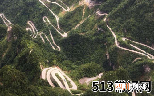生肖鼠哪个时辰出生命运最好