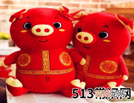 生肖猪哪个月份最苦