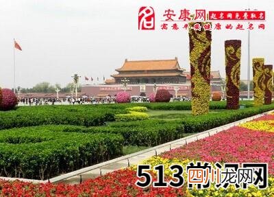 梦见广场