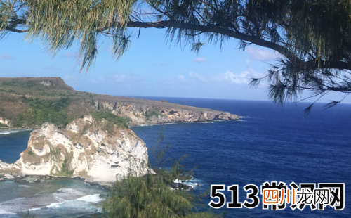 属鼠双子座2019年运势