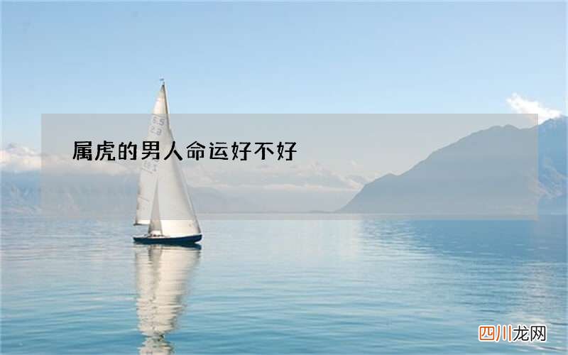 属虎的男人命运好不好