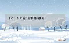 2019年会升官发财的生肖