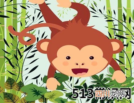 属猴人家里养什么植物好
