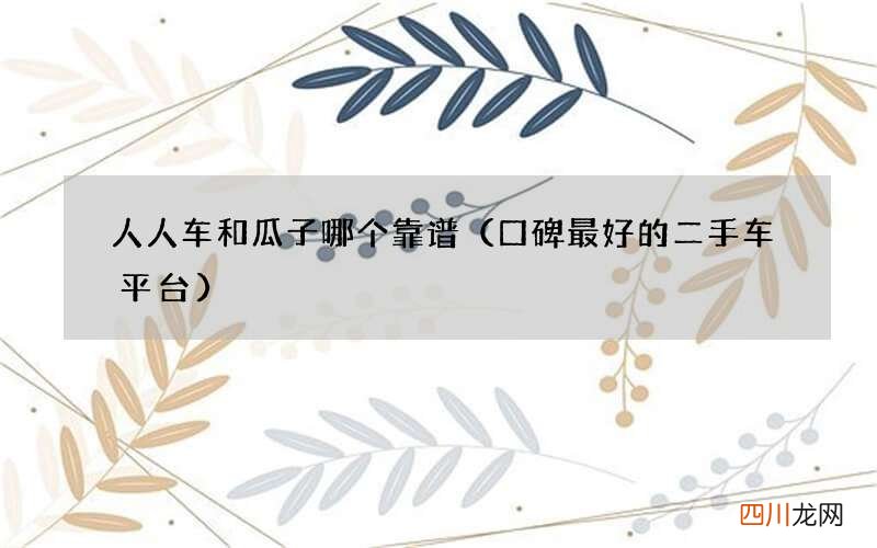口碑最好的二手车平台 人人车和瓜子哪个靠谱