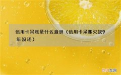 信用卡呆账欠款9年没还 信用卡呆账是什么意思
