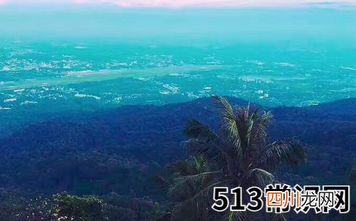 2019运势抢先看生肖鼠动荡求稳之年