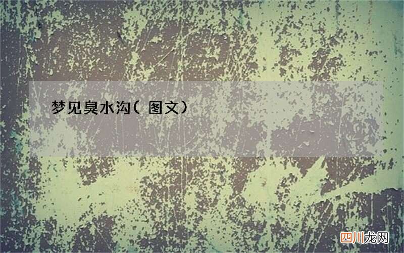 梦见臭水沟