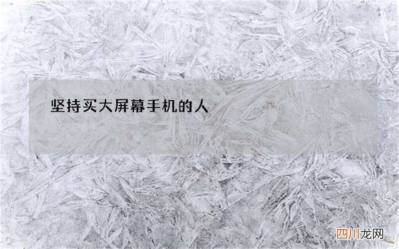 坚持买大屏幕手机的人