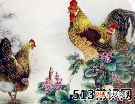属鸡人家里摆放什么好