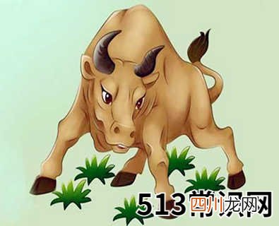 1997年属牛的人是什么命