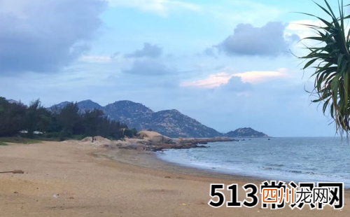 2019年会遇到飞来横祸的生肖