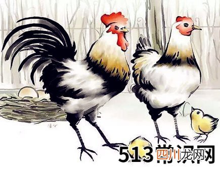 属鸡人家里养什么植物好