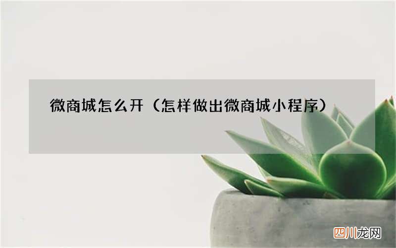 怎样做出微商城小程序 微商城怎么开