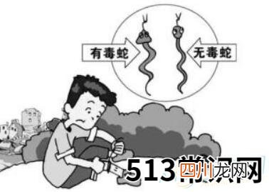 梦见被蛇咬小腿