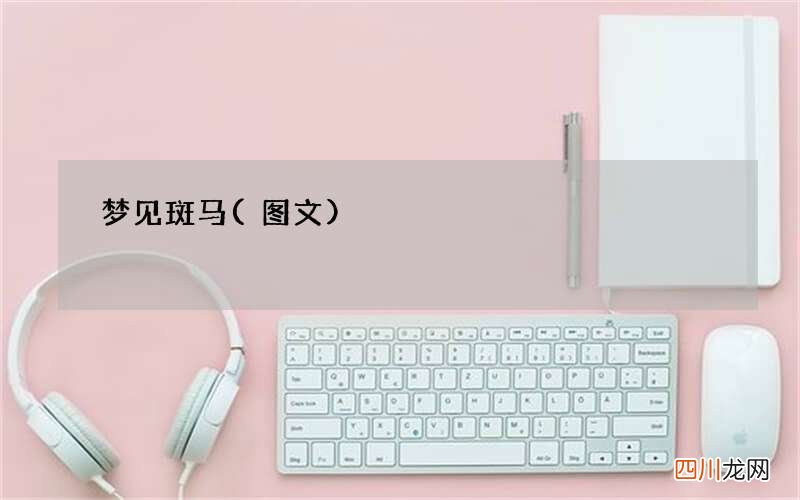 梦见斑马