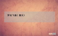 梦见飞禽