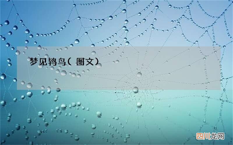梦见鸨鸟