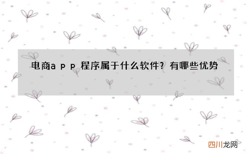 电商app程序属于什么软件？有哪些优势