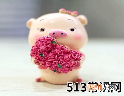 属猪人2021年结婚好吗