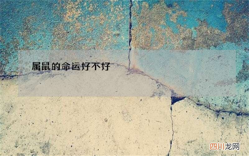 属鼠的命运好不好